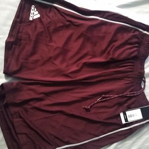 Adidas gym shorts brand new
